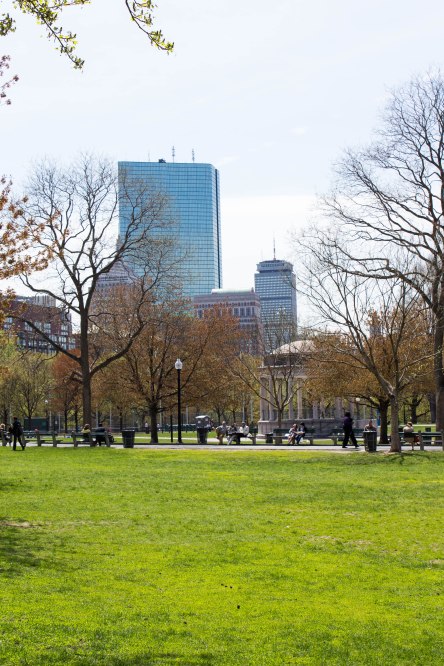 Taken from the smoking hill on the Boston Common. Ain't it a beaut? // March 2014