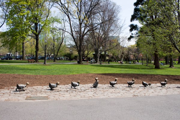 Make way for ducklings! // March 2014